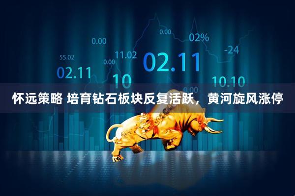 怀远策略 培育钻石板块反复活跃，黄河旋风涨停